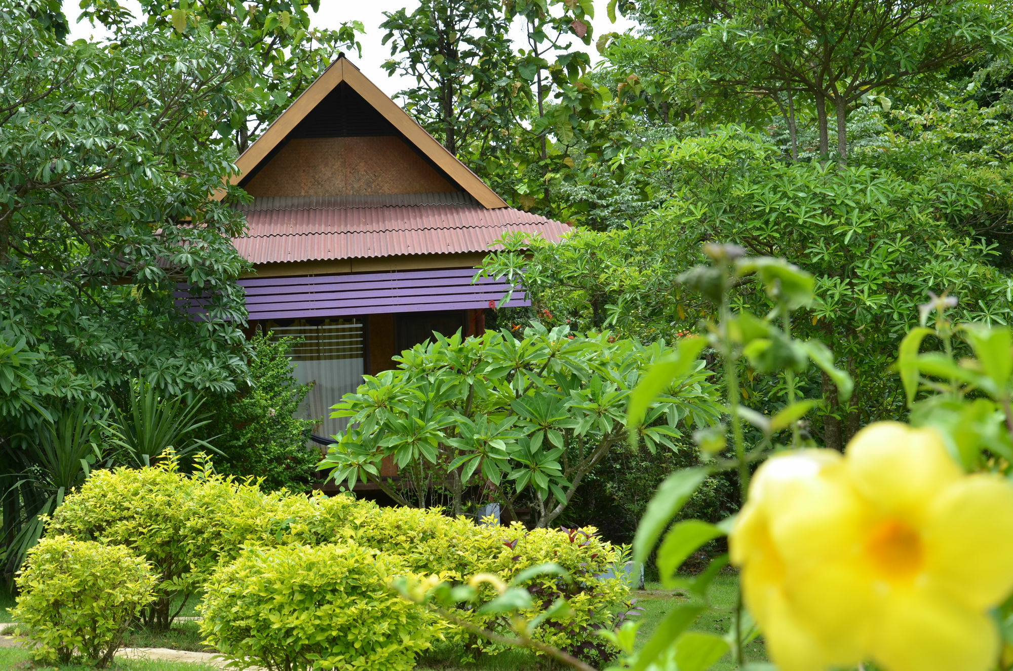 Romantic Time Mountain Resort Pai Exteriör bild