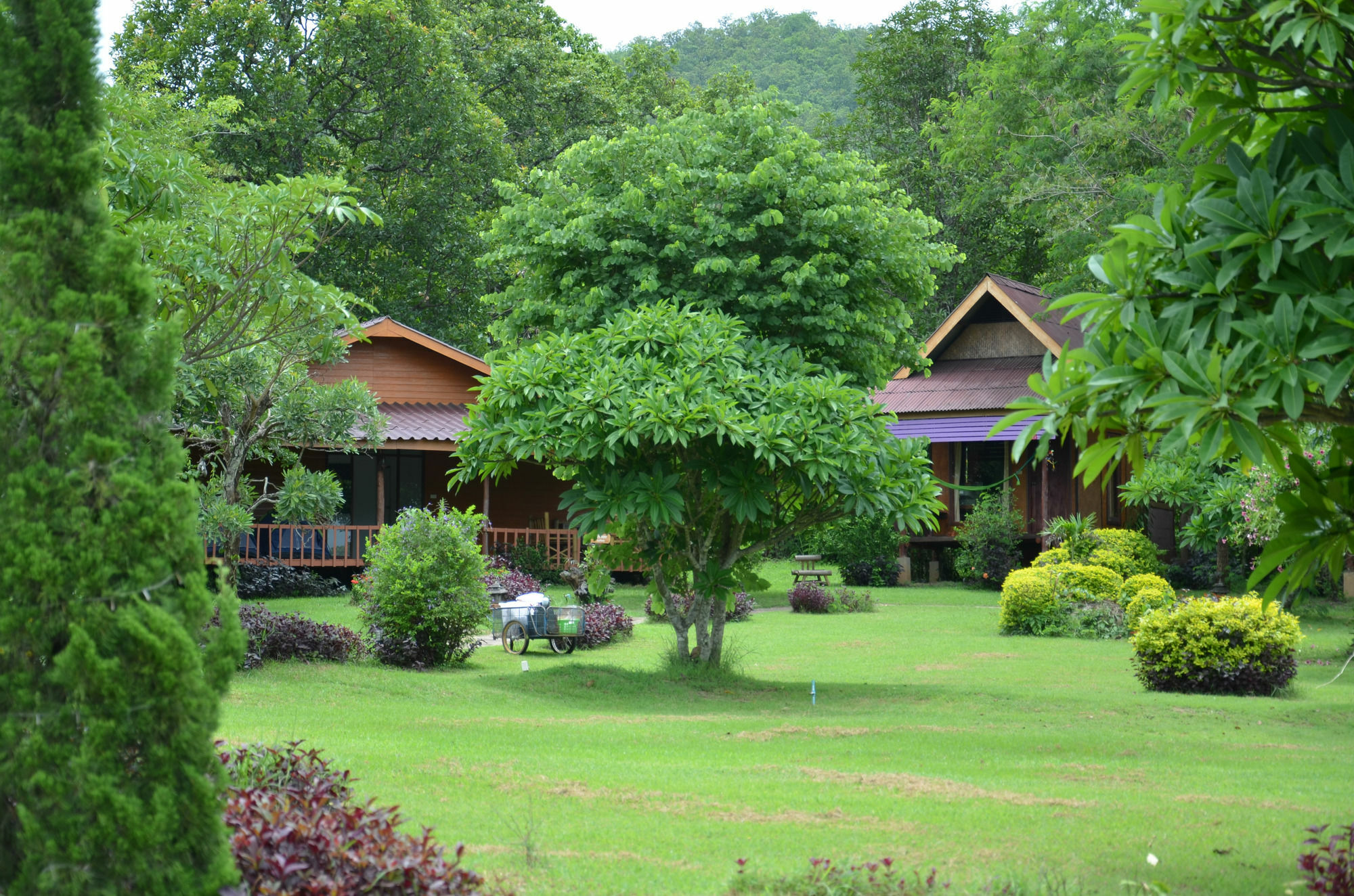 Romantic Time Mountain Resort Pai Exteriör bild