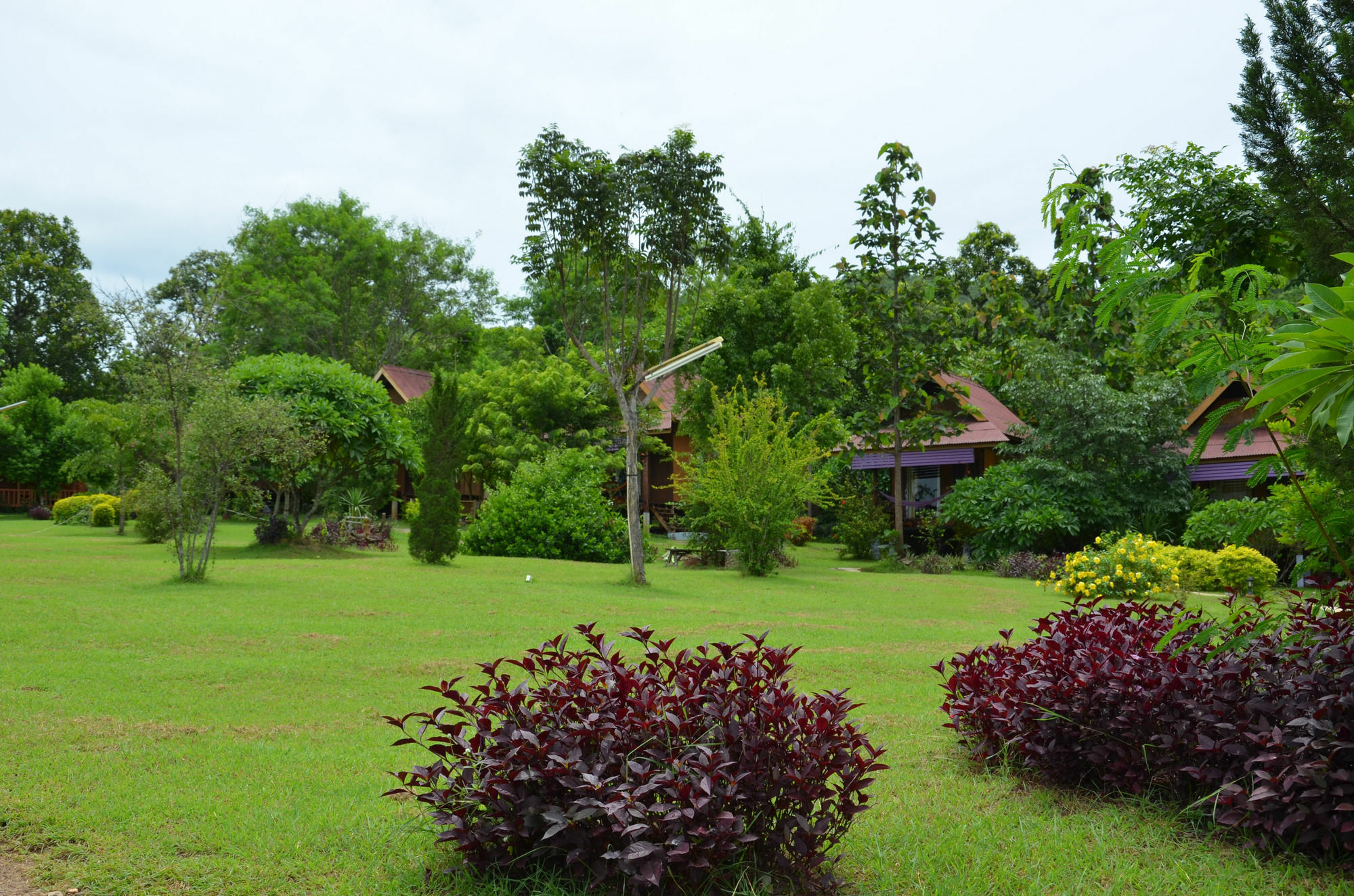 Romantic Time Mountain Resort Pai Exteriör bild